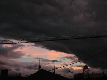 台風の後・・・・ 台風の後・・・・