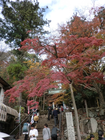 大窪寺・・・・・ 大窪寺・・・・・
