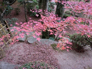 大窪寺・・・・・