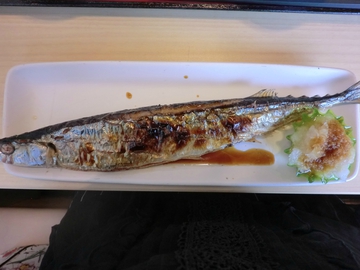 今日のお昼・・・・ 今日のお昼・・・・