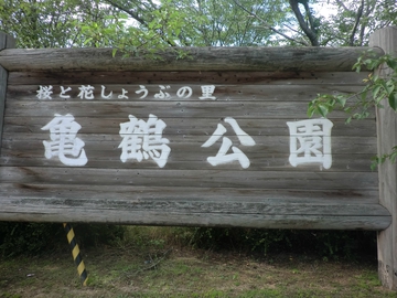 亀鶴公園・・・花菖蒲・・・