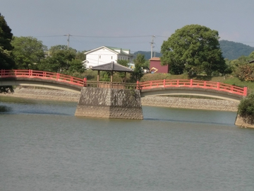 亀鶴公園・・・花菖蒲・・・