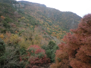 田舎の風景・・・・ 田舎の風景・・・・