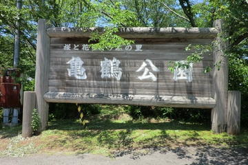 亀鶴公園菖蒲の花・・・・