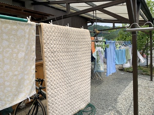 季節の事でーす 季節の事でーす
