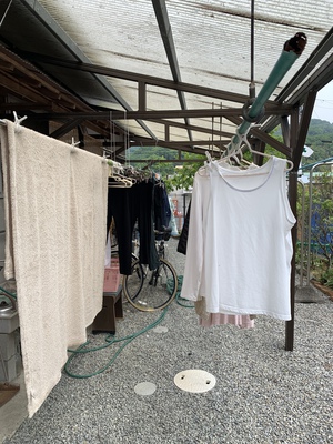 季節の事でーす 季節の事でーす