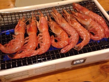 高松・16時からは魚河岸 磯一 高松・16時からは魚河岸 磯一