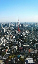 行って来ました