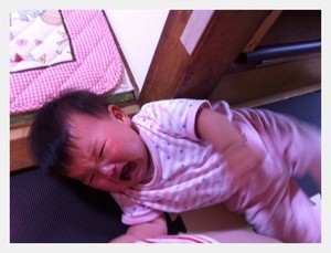 柵だらけ