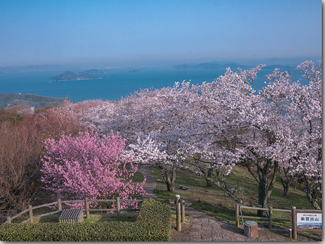 紫雲出山