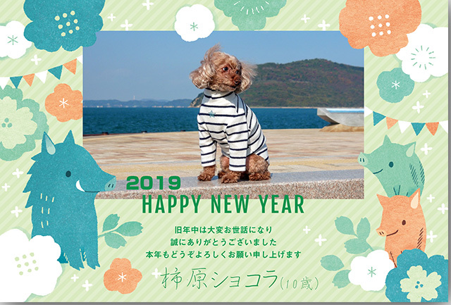 2019年元旦
