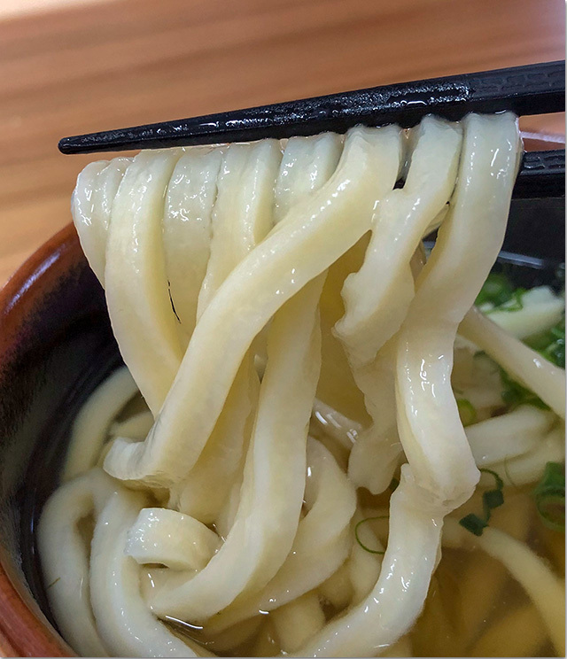 501のうどん