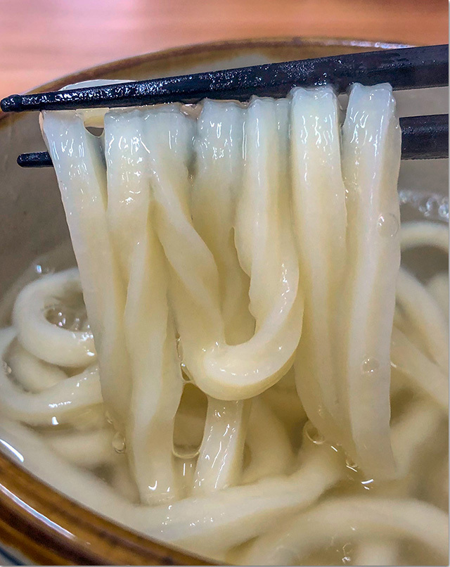501のうどん