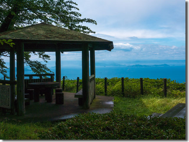 紫雲出山の紫陽花