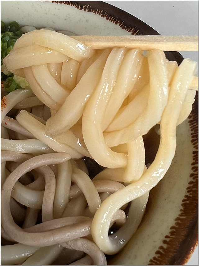 穴吹製麺所