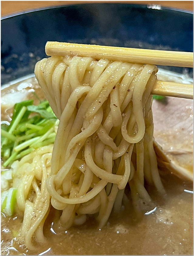 ANTI NOODLE アンチ ヌードル