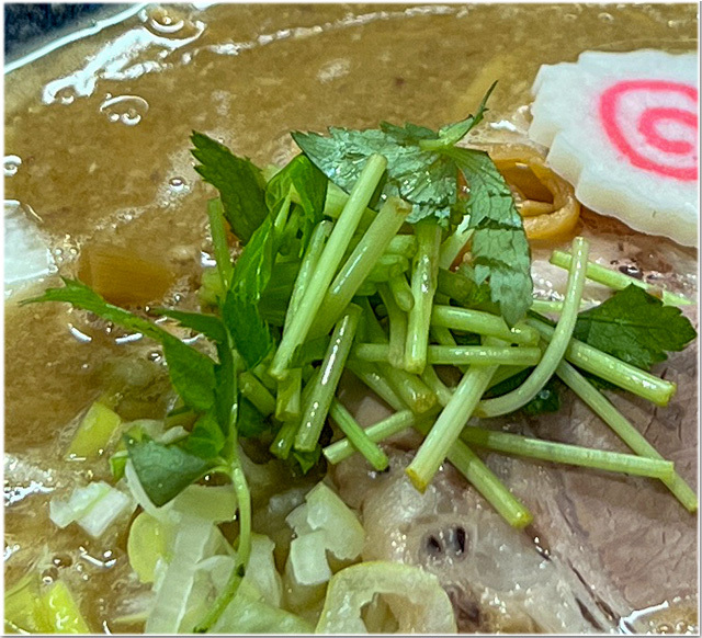ANTI NOODLE アンチ ヌードル