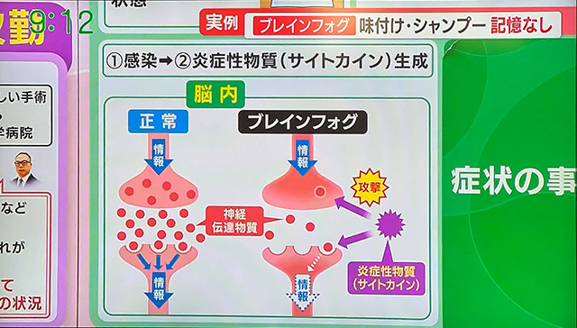コロナデータ