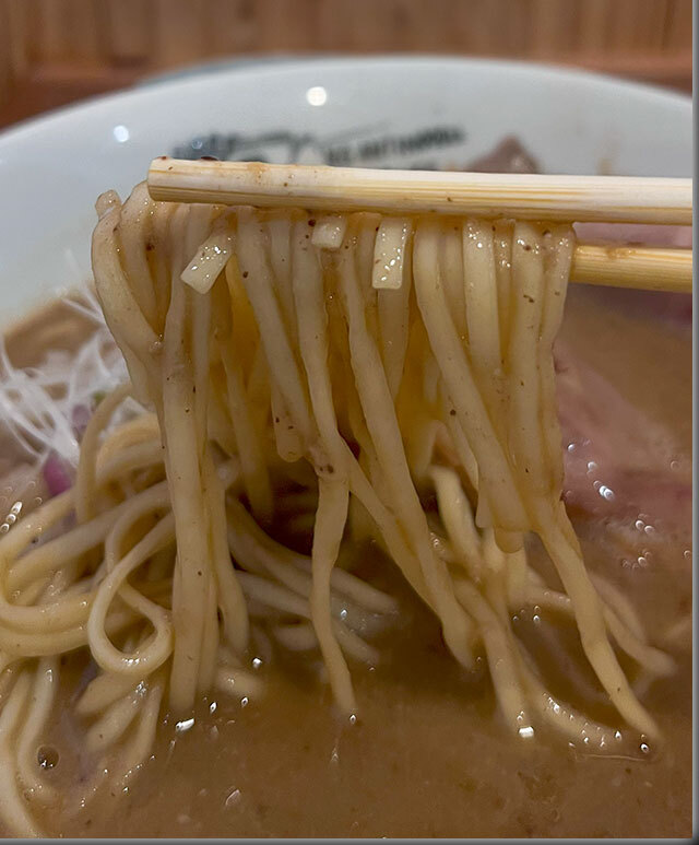 ANTI NOODLE アンチ ヌードル