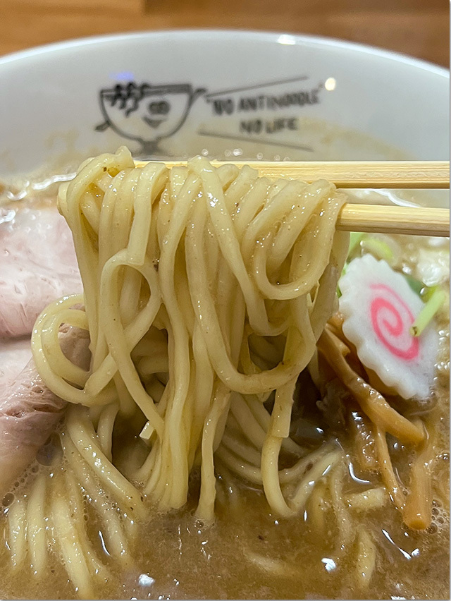 ANTI NOODLE アンチ ヌードル