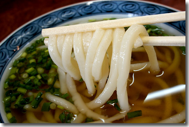 無塩うどん あつまり