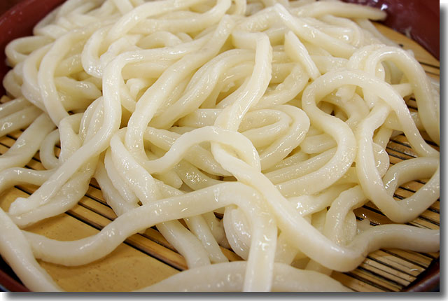 無塩うどん あつまり