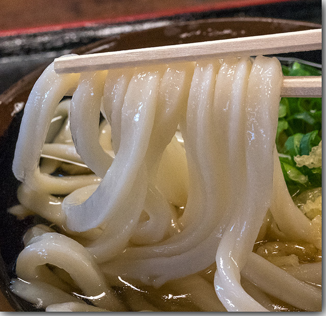 手打十段 うどんバカ一代