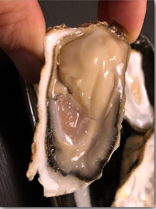 麦酒庵 大塚
