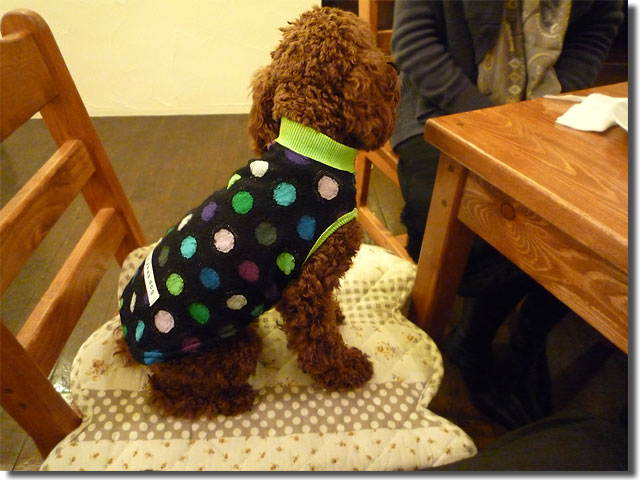 Dog cafe JINA