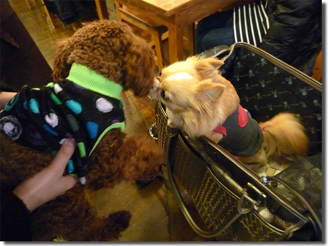 Dog cafe JINA