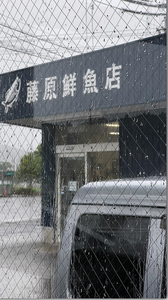 鰹のたたき丼 藤原鮮魚店 四万十町