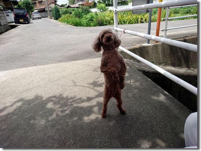 がもう