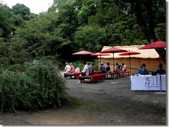 第31回萩まつり 萩原寺 萩の丘公園