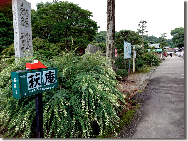 第31回萩まつり 萩原寺