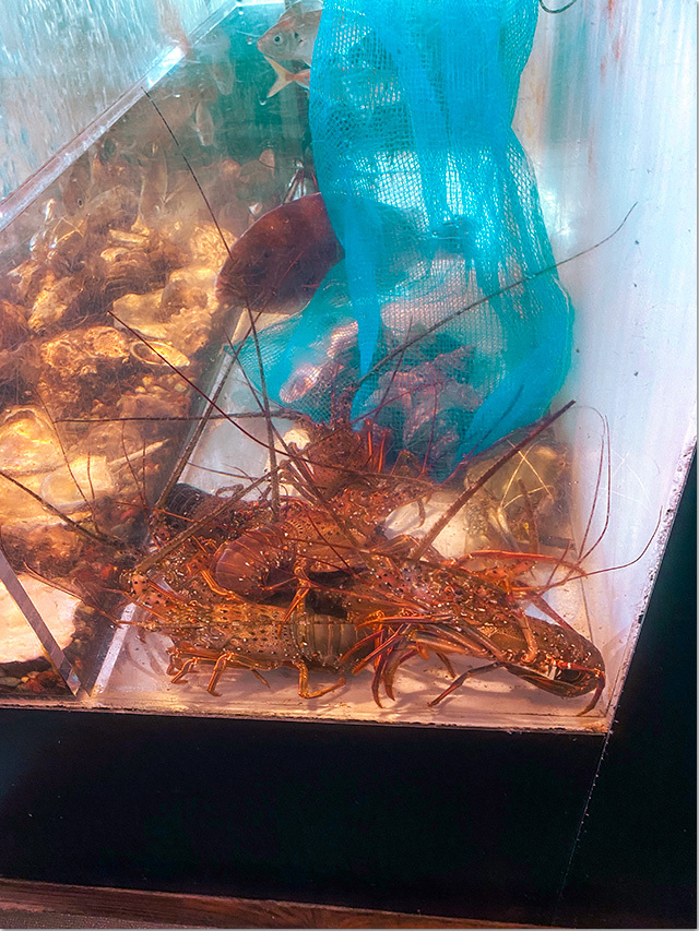海鮮ランチ@浜海道