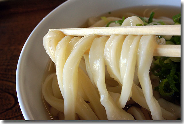 栄美うどん