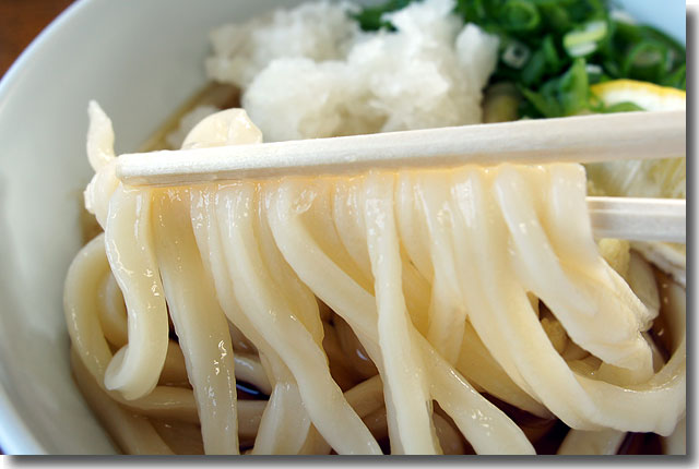 栄美うどん