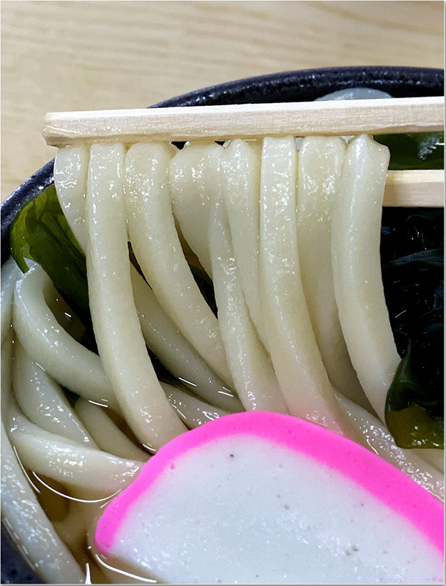 いけこうどん