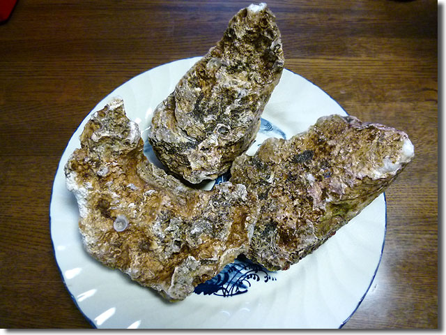 岩牡蠣