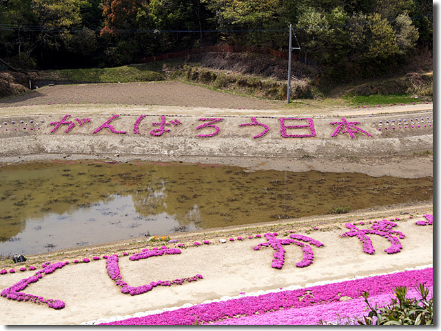 ジャルダン芝桜