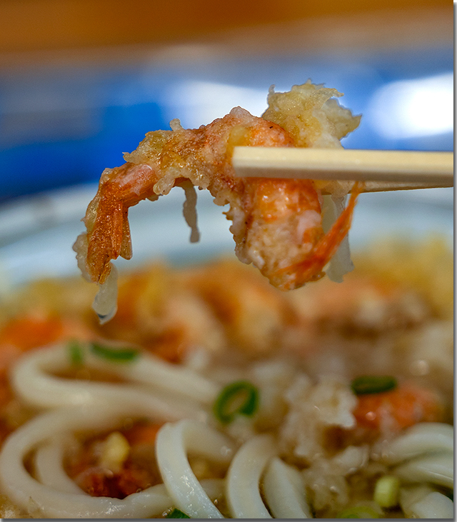 瀬戸芸のうどん 琴弾公園 きたの