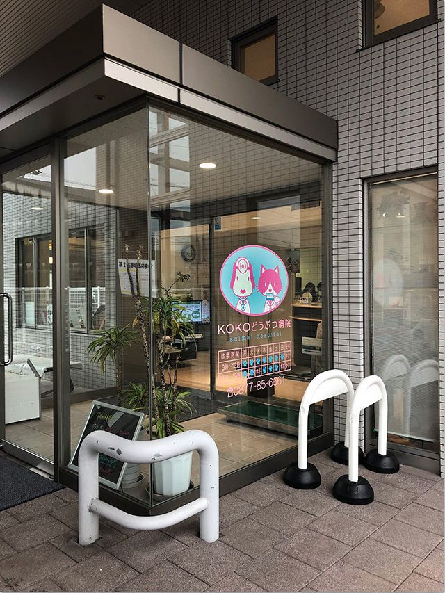 KOKOどうぶつ病院