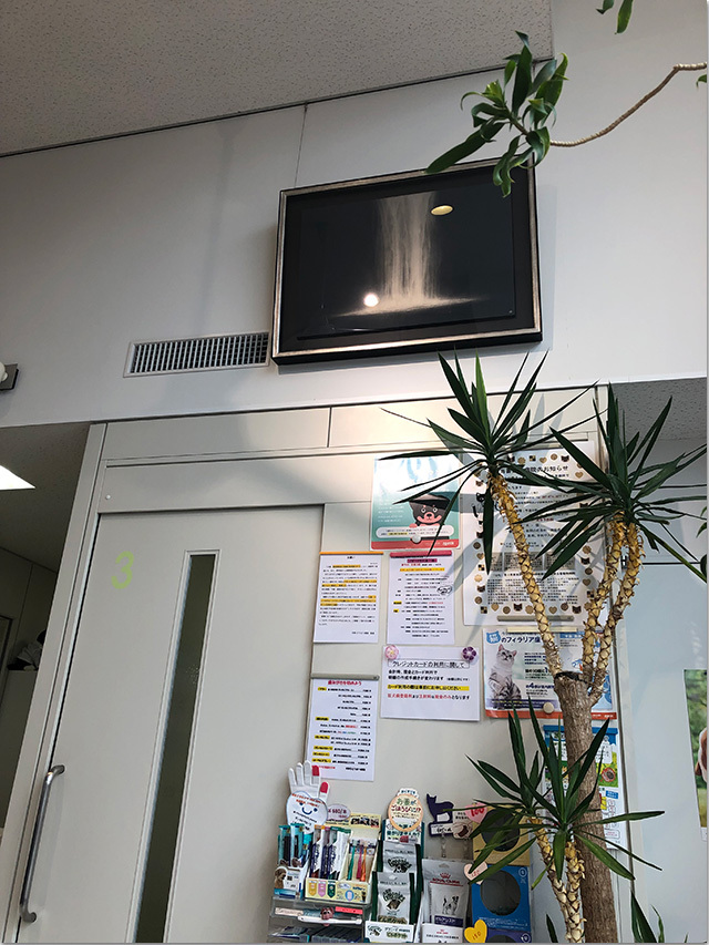 KOKOどうぶつ病院
