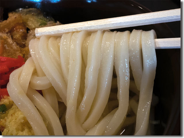 心彩 こころ