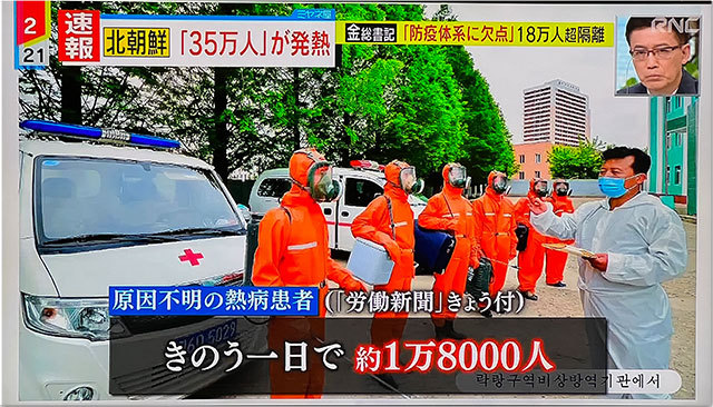 コロナデータ