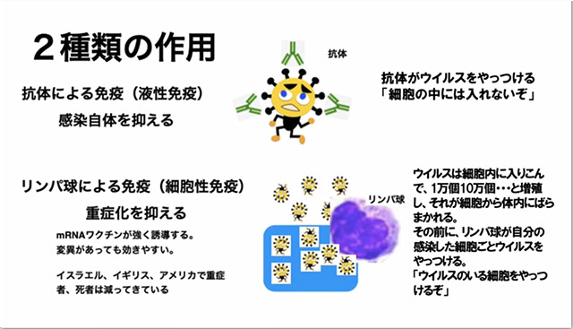 コロナデータ