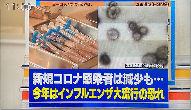 コロナデータ