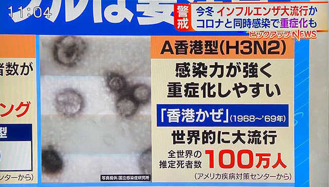 コロナデータ