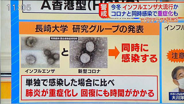 コロナデータ