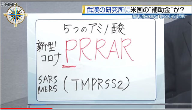 コロナデータ